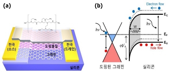 포스텍 이병훈 교수팀, 고효율 포토디텍터 제조에 성공