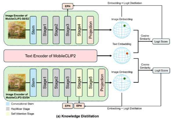 [강석형 교수] EdgeCLIP: Static Depth Pruning for Efficient Vision-Language Models on Edge Devices